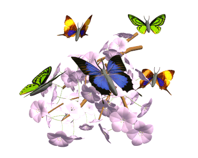GifPapillonFleurAnim01.gif image by domicalune
