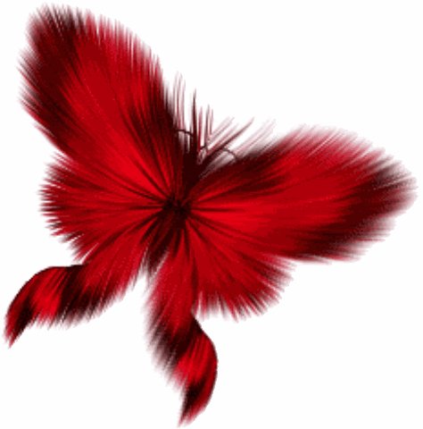 29-1.gif red butterfly image by Angelkisses69_photos