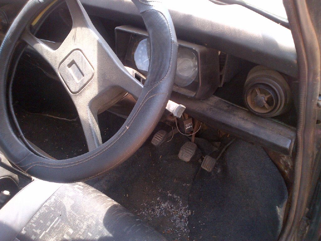 [Image: image_6.jpeg]