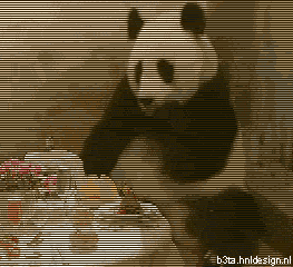 pandaCheck.gif