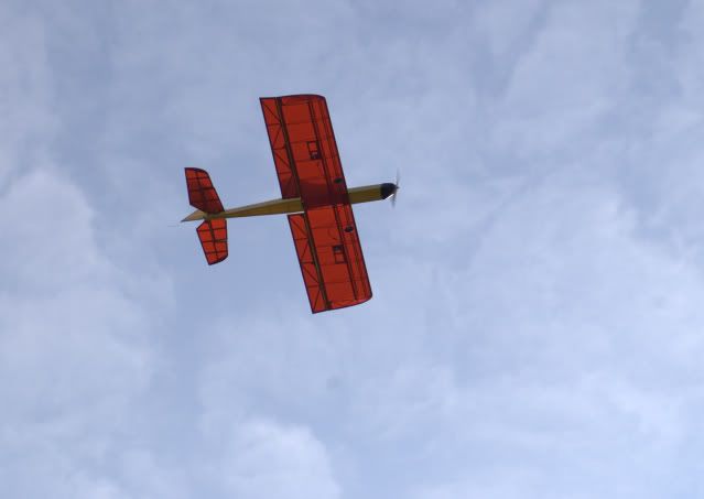 DSC_0447NEF.jpg