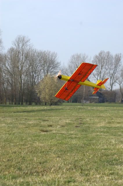 DSC_0460NEF.jpg