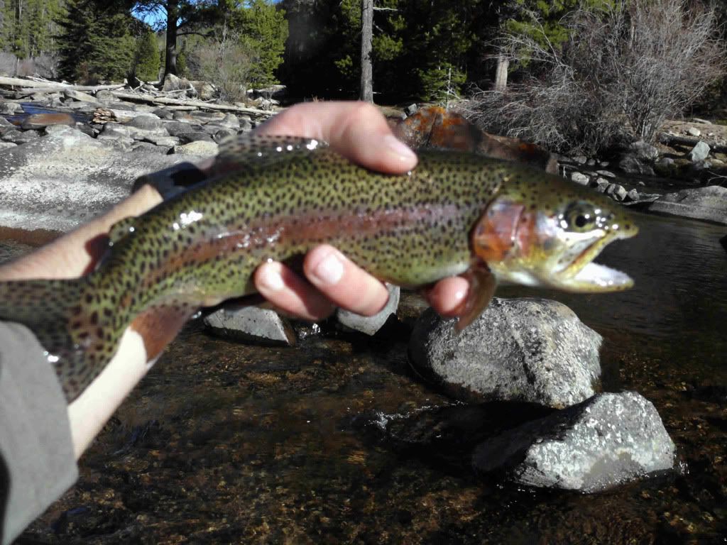 3 Day Tour Of Gunnison And The Surrounding Areas Xlong Colorado