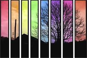 color Pictures, Images and Photos