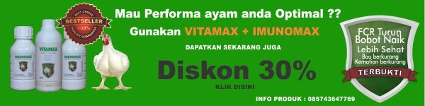 promo web ayambroiler photo promoweb_zps1e8a3ed0.jpg