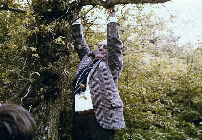 Don Mackie swinging on the tree he had landed in 33 years before - copyright Mary-Jean Paterson 2011