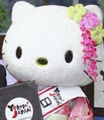 Kitty-Japan