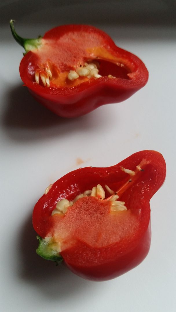 20150918_150753_zps0ko5kivo.jpg