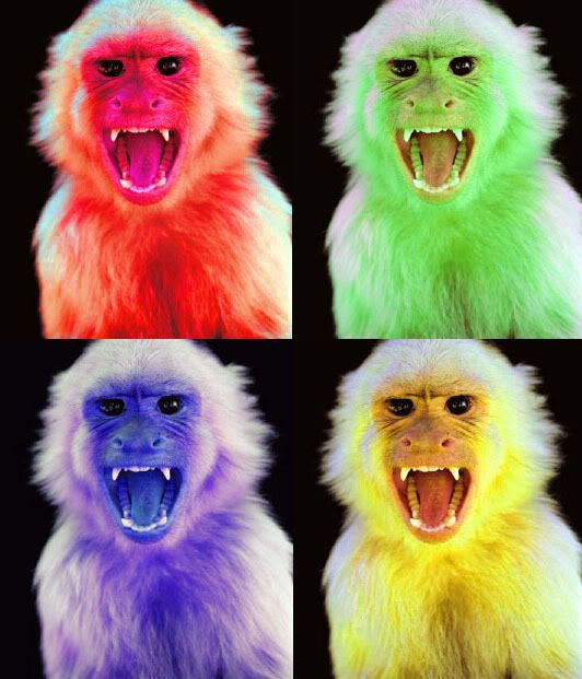 http://i292.photobucket.com/albums/mm15/sunkissky/monkeycolorz.jpg