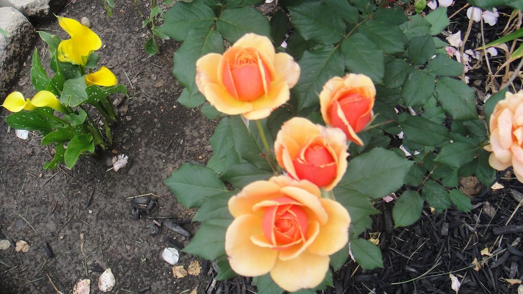 About Face '13 photo DSC01198_zps6a7dee33.jpg