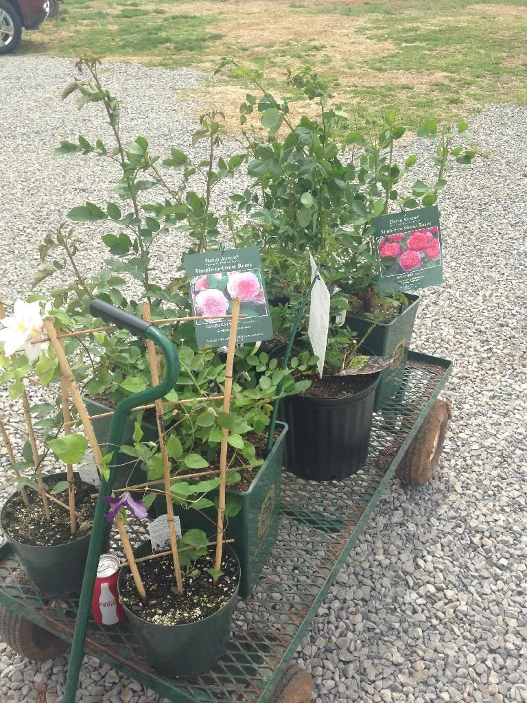 photo 39441B36-0657-4C57-B719-75481888819E_zpsw6r52fk3.jpg