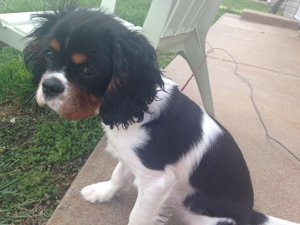 photo 8924F758-CB1D-400A-AD77-6E8A68C0868C_zpsbr4ip37j.jpg