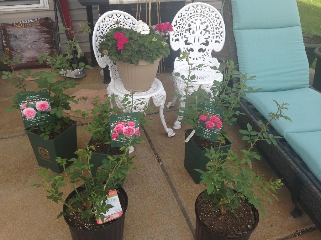 photo 9584A08B-0824-407C-91ED-5ACC43F376B1_zpsfpk3xnco.jpg