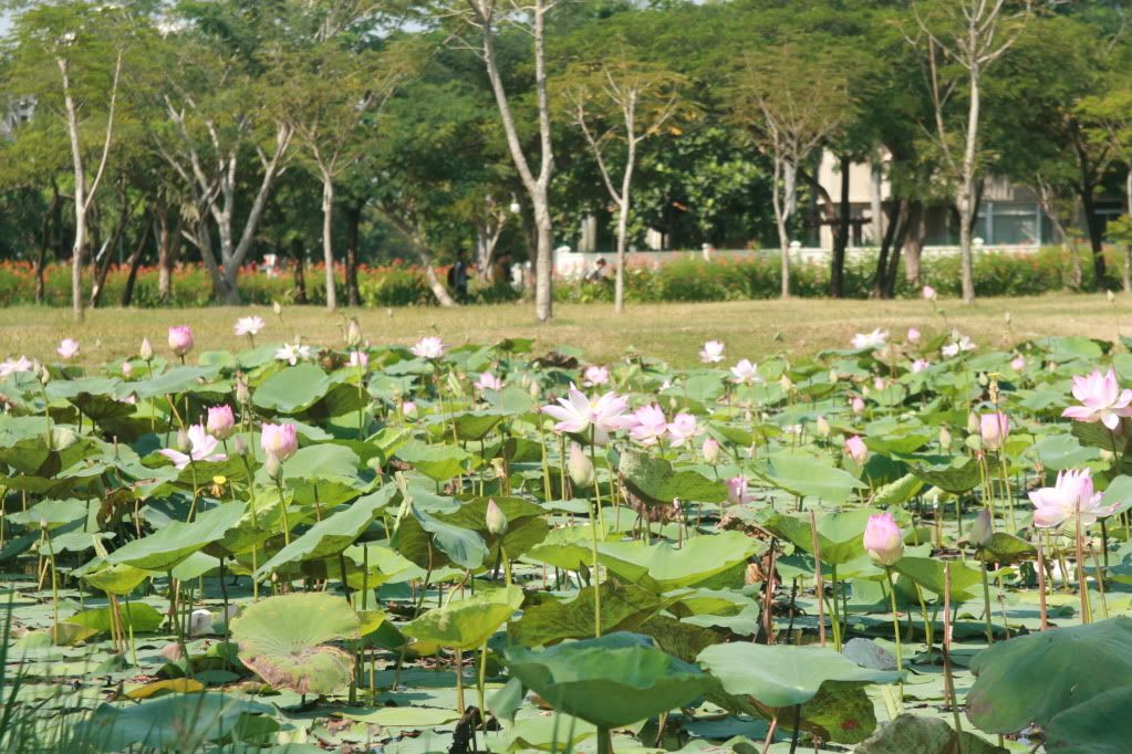 Vài chuyên gặp ở Phú Mỹ hưng cho anh em coi chơi - 7