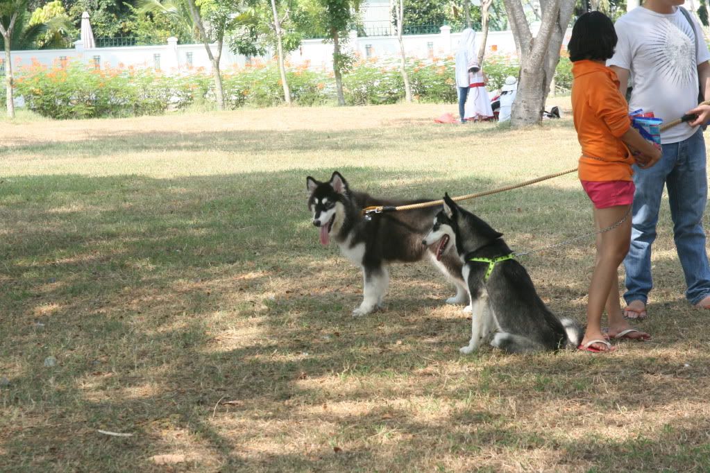 Vài chuyên gặp ở Phú Mỹ hưng cho anh em coi chơi - 10