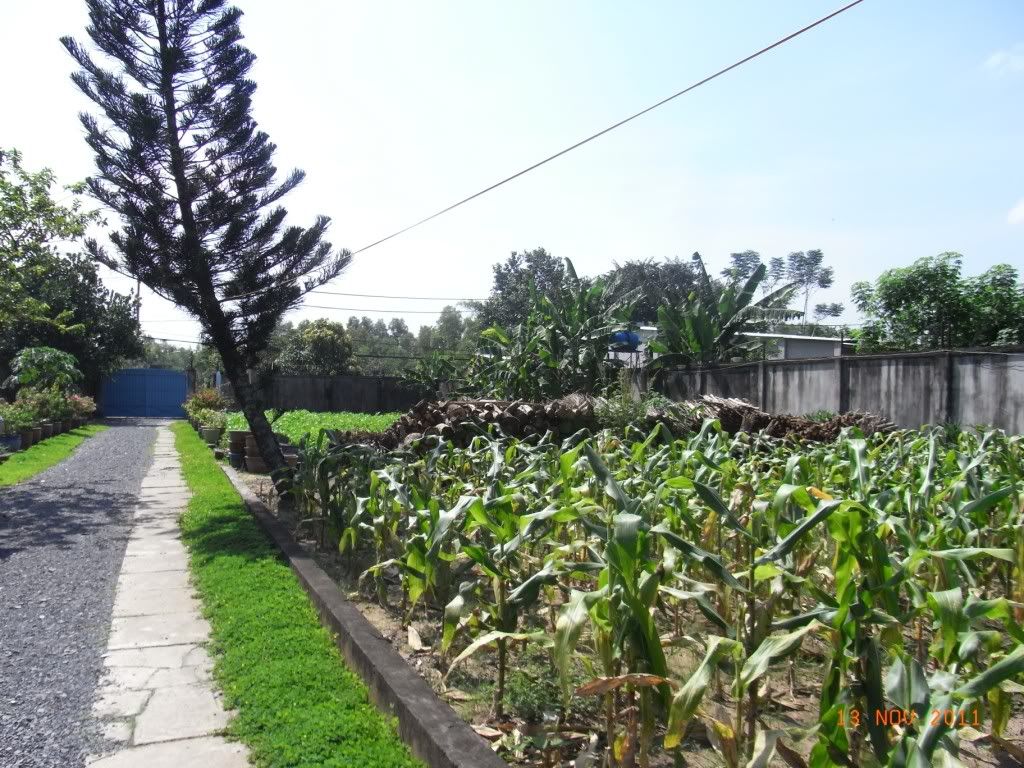 Doves Club - Chủ Nhật Yêu Thương 13/11/2011 - 22