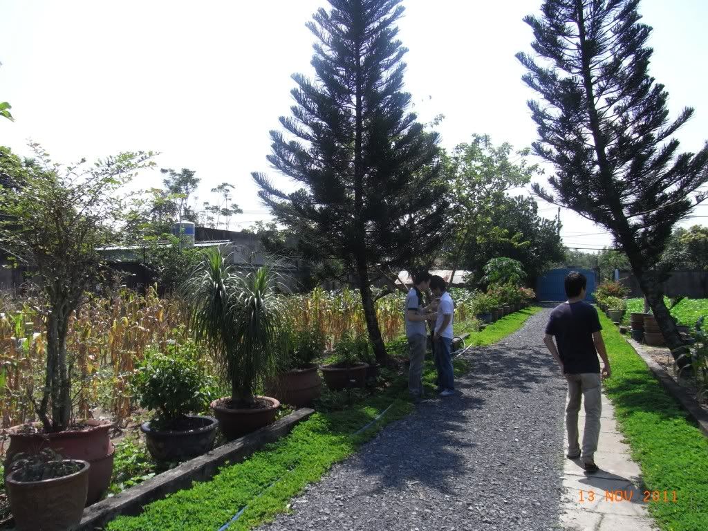 Doves Club - Chủ Nhật Yêu Thương 13/11/2011 - 23