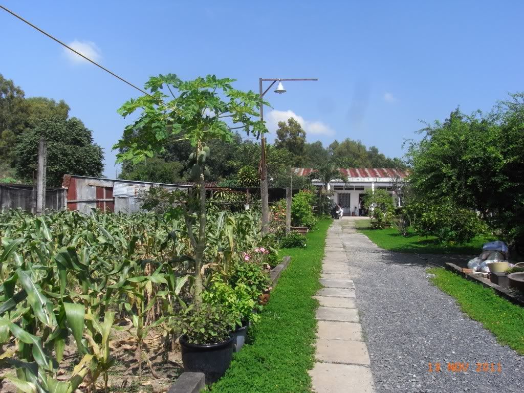 Doves Club - Chủ Nhật Yêu Thương 13/11/2011 - 24