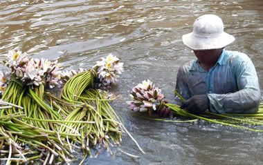 Hình ảnh