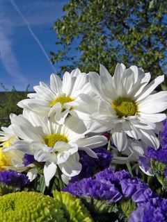 FLORES