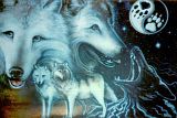 Wolves3.jpg Wolves image by teendemon93