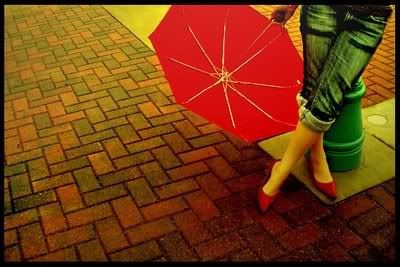 umbrella Pictures, Images and Photos