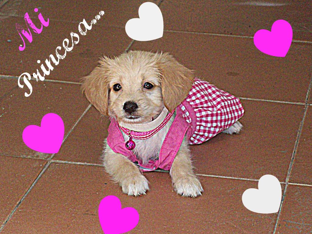 barbie20.jpg barbie image by anniehadita