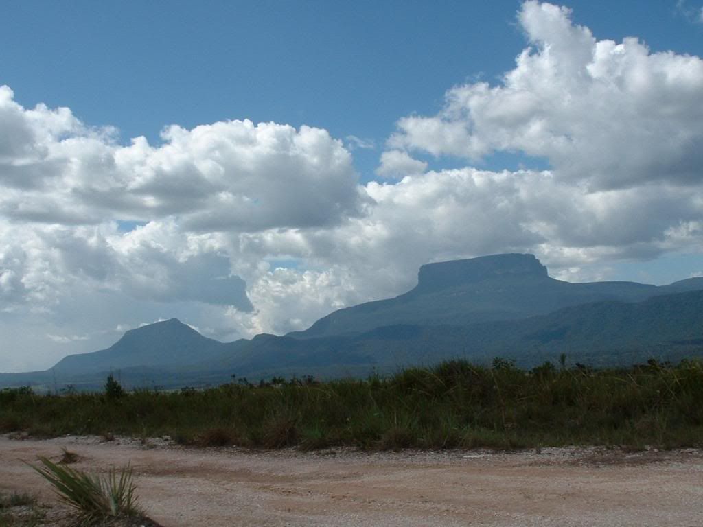 Picture126.jpg
