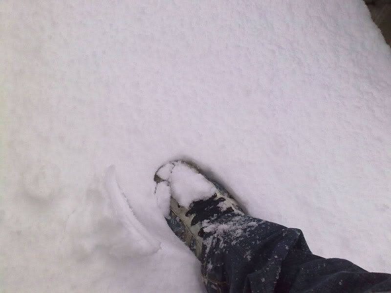 05012010042.jpg