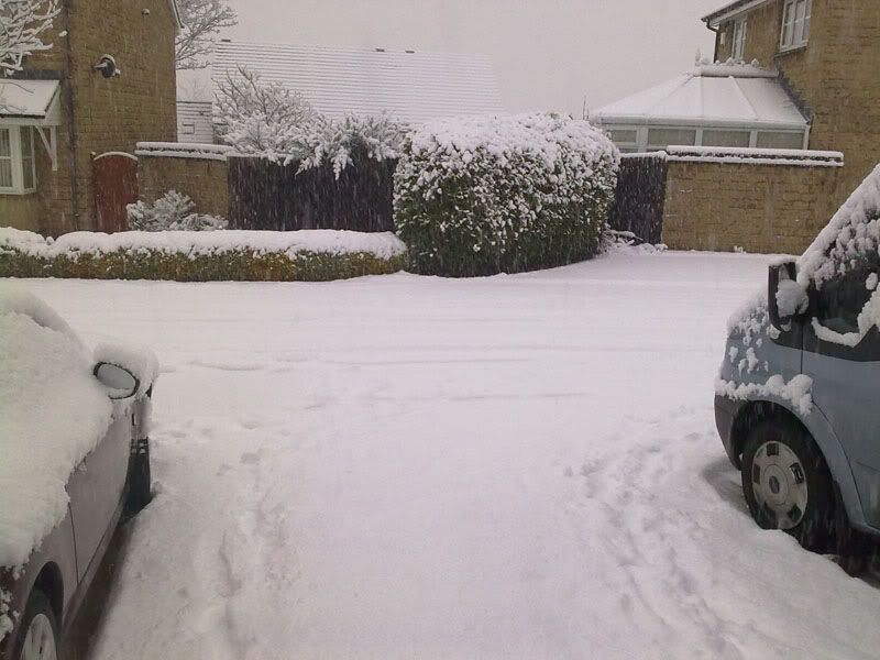 05012010043.jpg