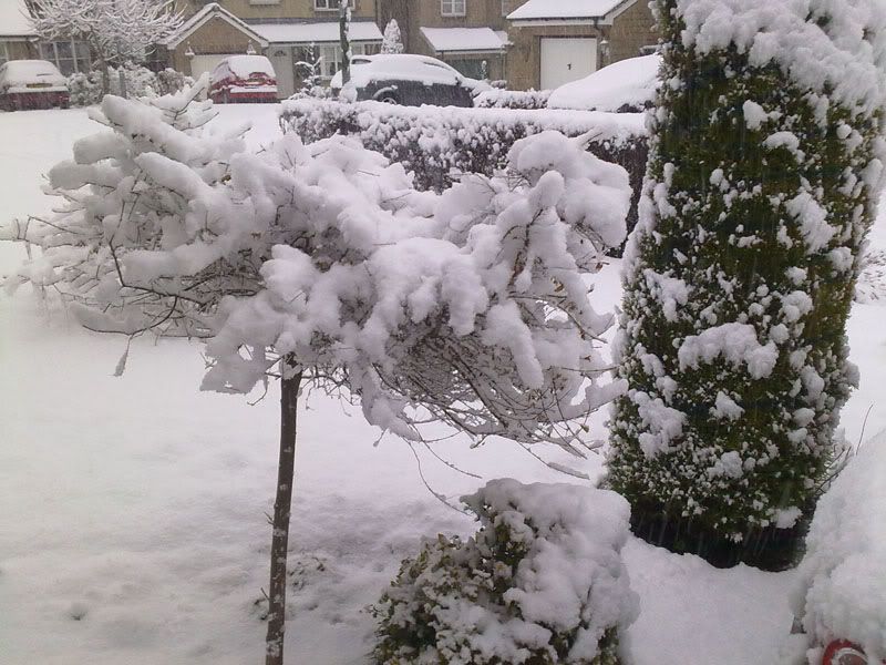 05012010044.jpg