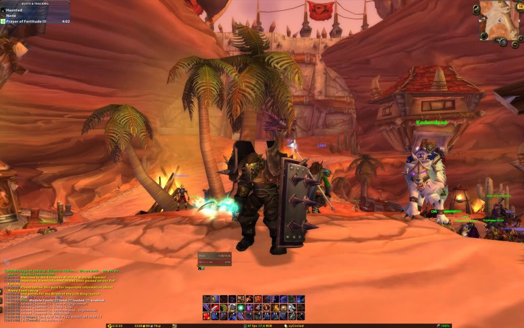 WoWScrnShot_111008_185159.jpg
