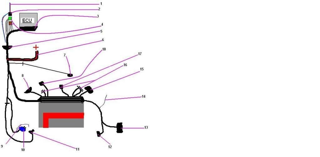 c20xe wiring diagram