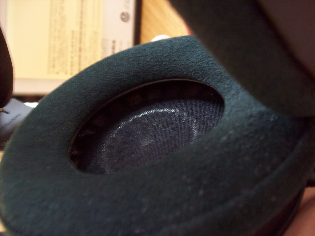 100_0361.jpg