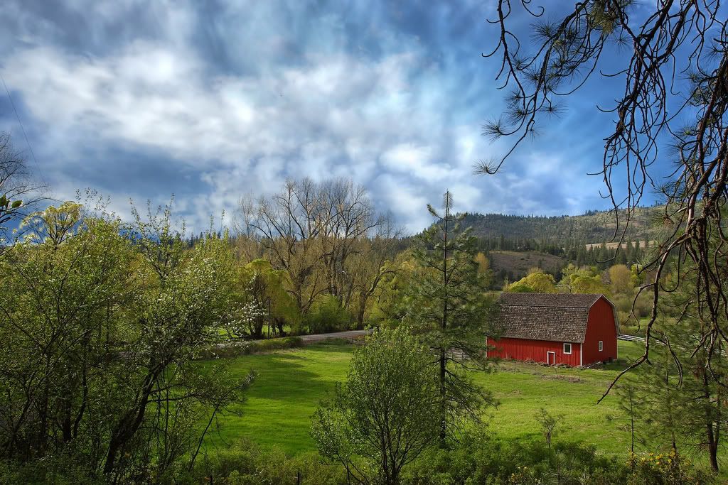 IMAGE: http://i292.photobucket.com/albums/mm23/photocoffeebuzz/2485430674_242cf69382_b.jpg