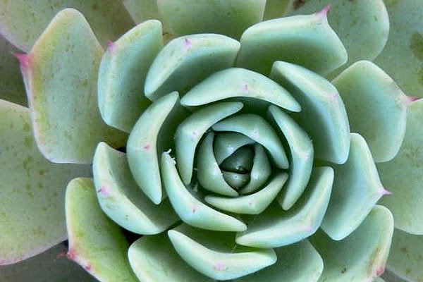 IMAGE: http://i292.photobucket.com/albums/mm23/photocoffeebuzz/attachment-1.jpg