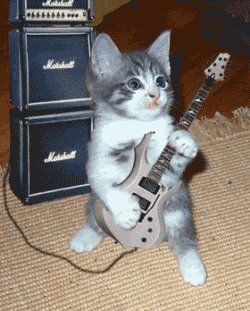 myspace-comments-cat-kitten-guitar-.gif