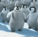Animated Penguins Gif
