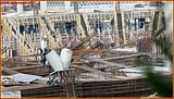 http://i292.photobucket.com/albums/mm23/turkisi/2010/02-subat/14/ttarena-026.jpg