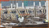 http://i292.photobucket.com/albums/mm23/turkisi/2010/02-subat/14/ttarena-071.jpg