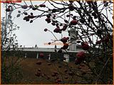http://i292.photobucket.com/albums/mm23/turkisi/2010/02-subat/28/om/ttarena-080o.jpg