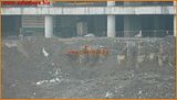 http://i292.photobucket.com/albums/mm23/turkisi/2010/03-mart/07/ttarena-092.jpg