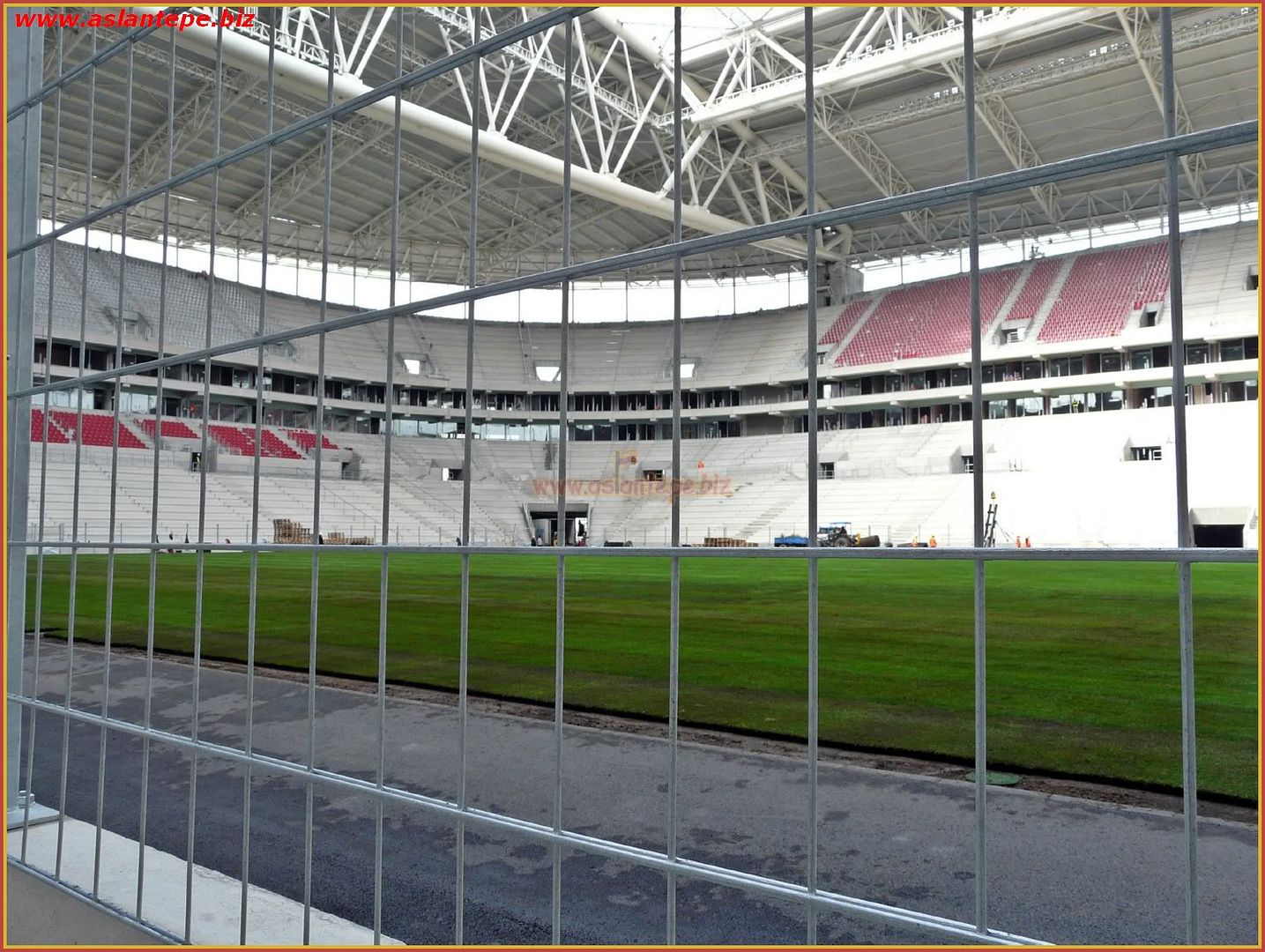 ttarena-022.jpg