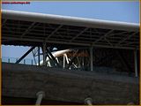 http://i292.photobucket.com/albums/mm23/turkisi/2010/11/17/ttarena-021.jpg