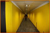 http://i292.photobucket.com/albums/mm23/turkisi/25122010/aslantepe64.jpg