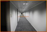 http://i292.photobucket.com/albums/mm23/turkisi/25122010/aslantepe65.jpg