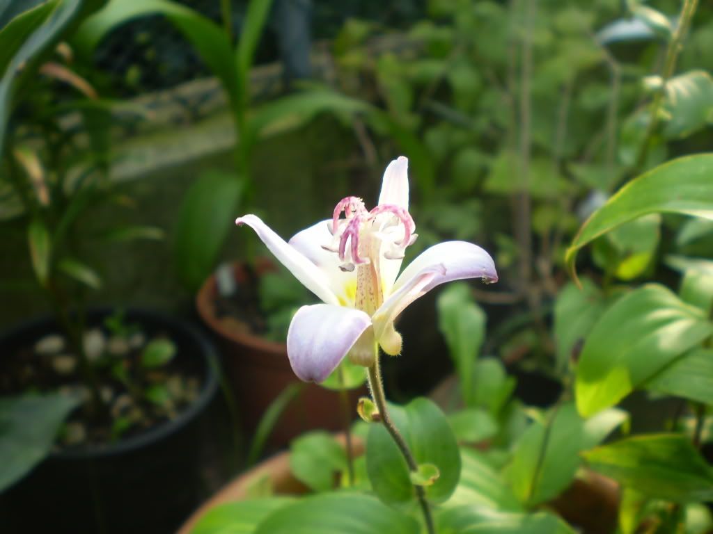 P7090426_01.jpg