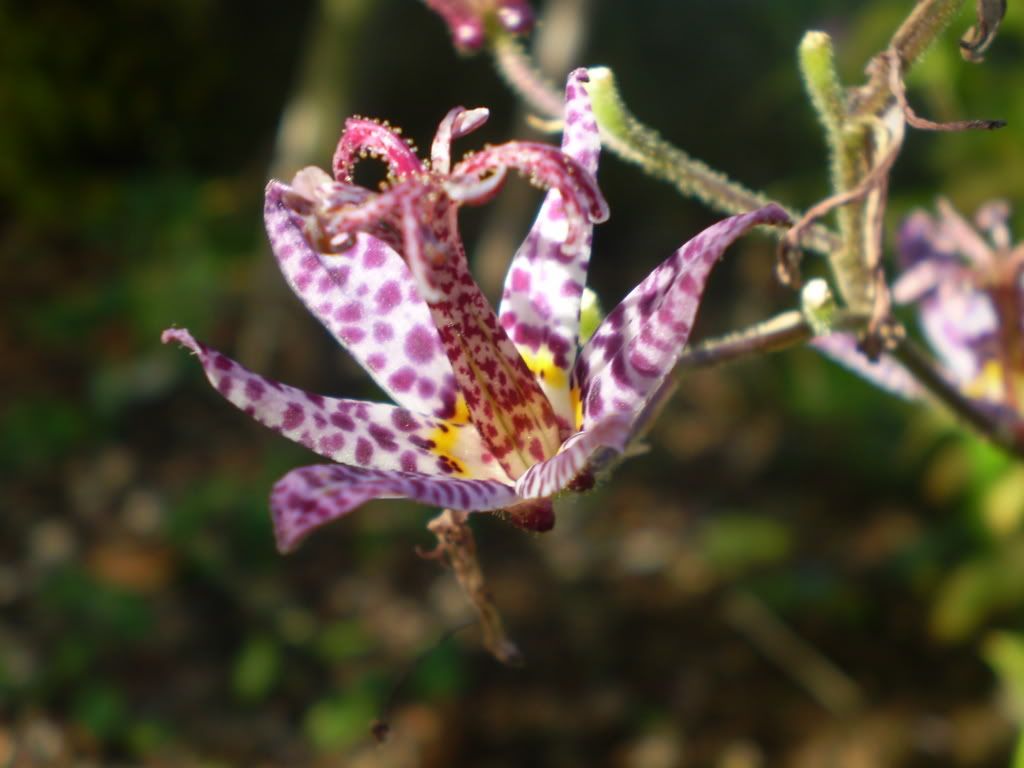 P9142393.jpg