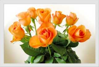 ROSAS.png picture by LA_VIDA_ES_BELLA_3