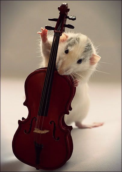 Online-Video-Mouse-Playing-Violin.jpg